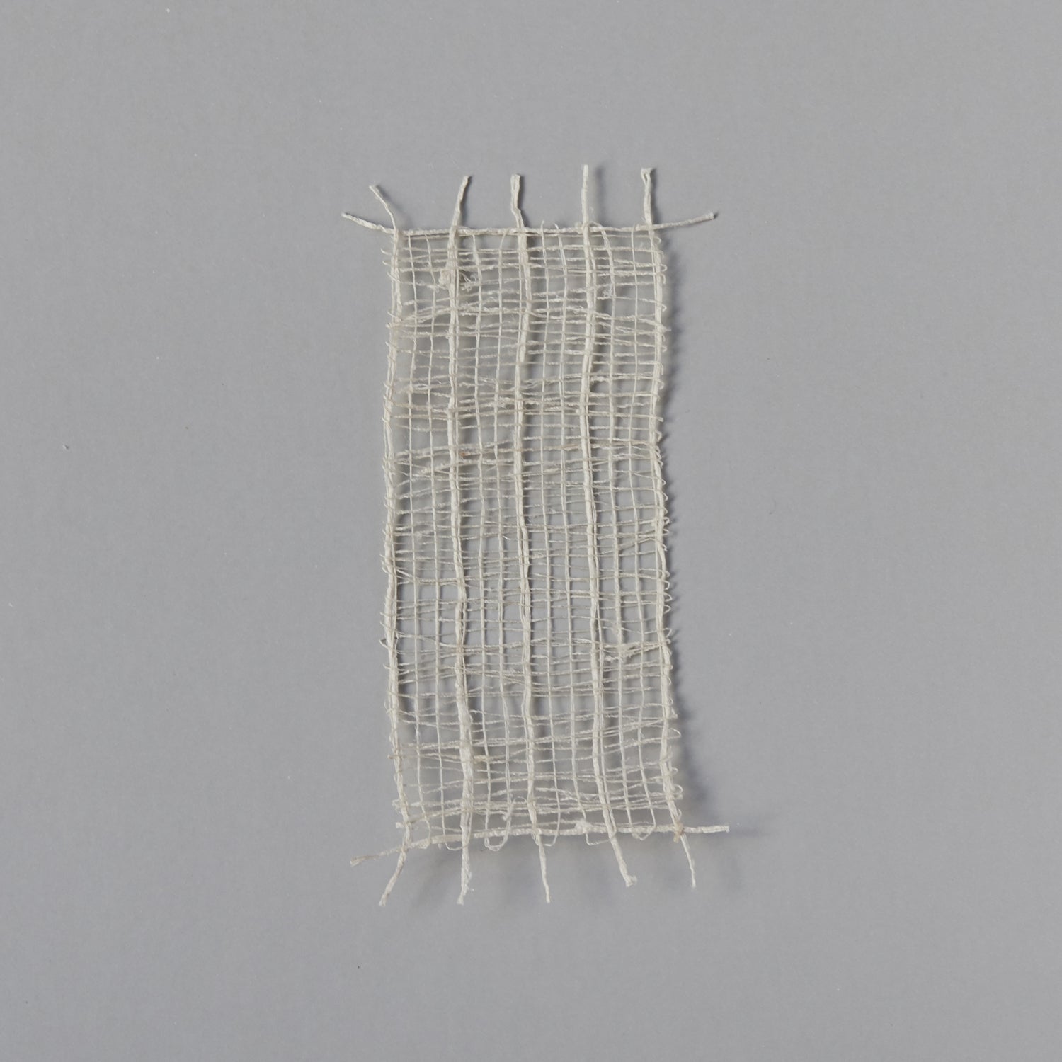 Natural Silk Placemat