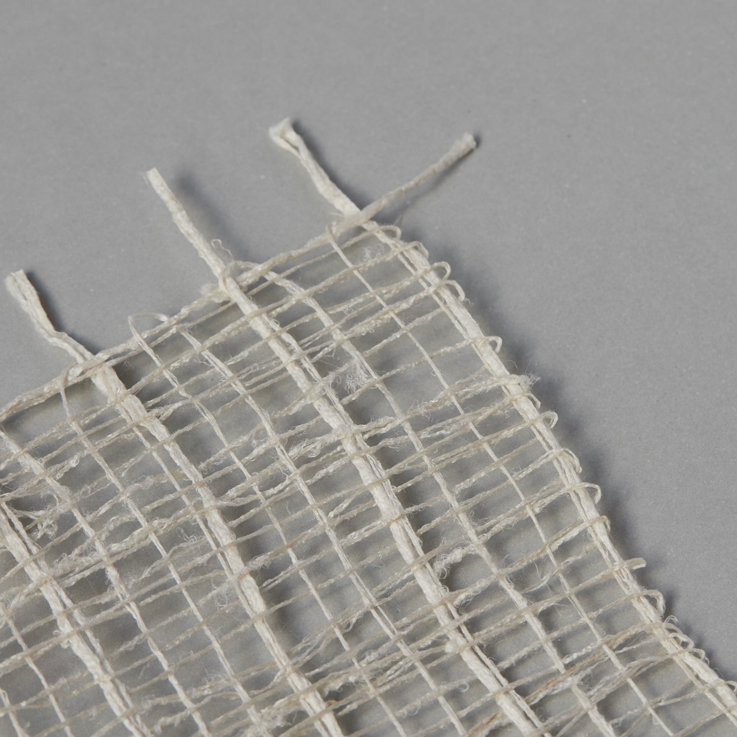 Natural Silk Placemat