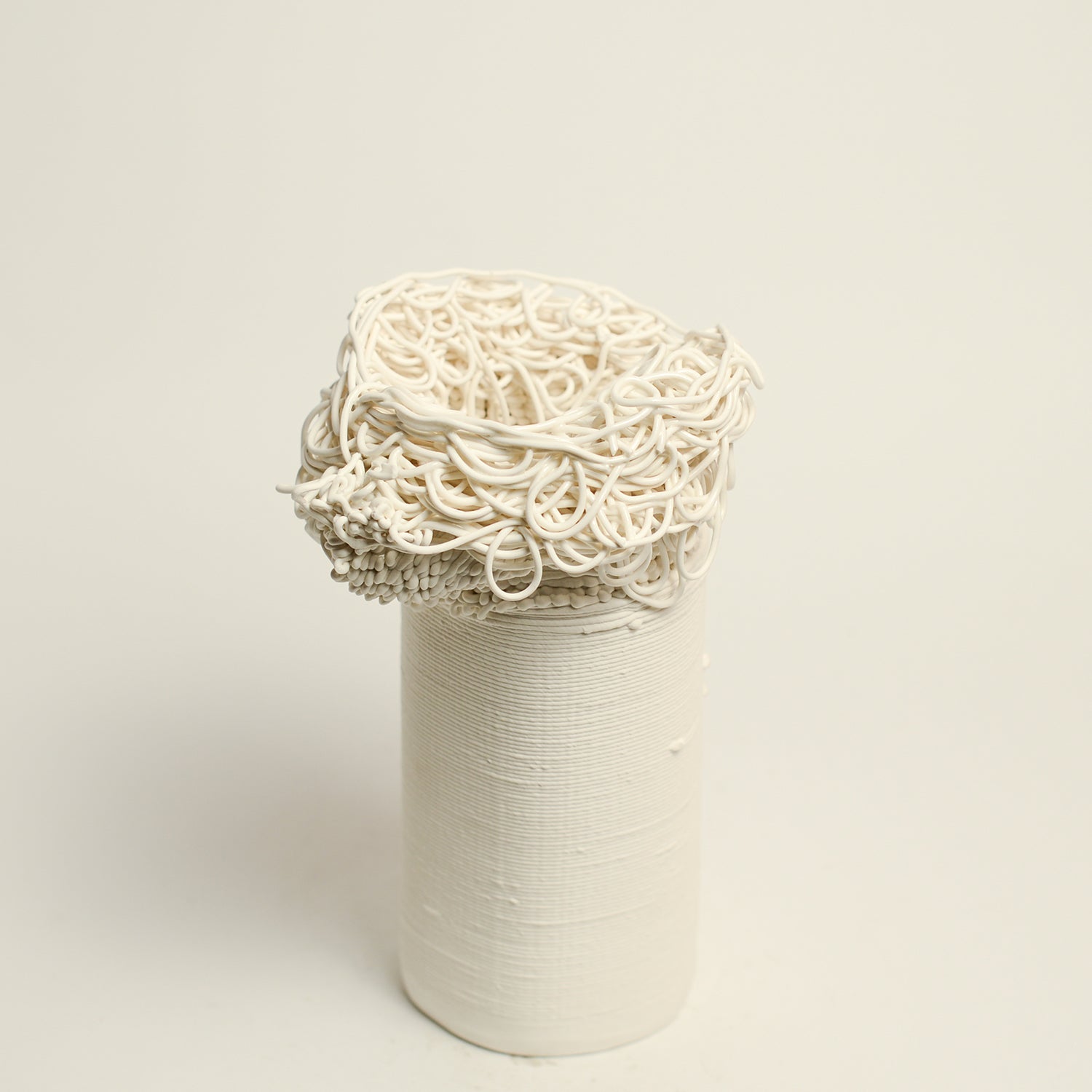 Porcelain sculpture made by Alterfact using 3D printing techniques in clay. Alterfact is an Australian duo composed of ceramicist Lucile Sciallano and designer Ben Landau based in Melbourne where they create contemporary ceramics using 3D printing techniques.