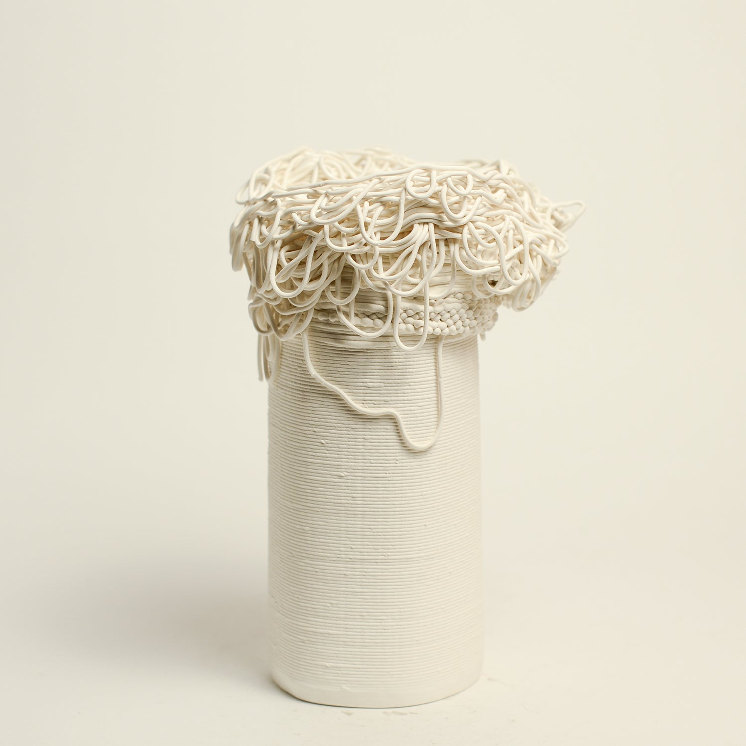 Porcelain sculpture made by Alterfact using 3D printing techniques in clay. Alterfact is an Australian duo composed of ceramicist Lucile Sciallano and designer Ben Landau based in Melbourne where they create contemporary ceramics using 3D printing techniques.