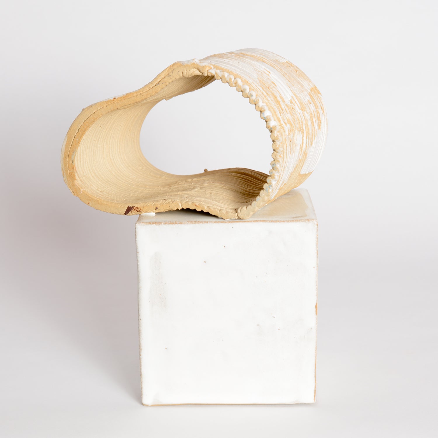 'Trophy Series' Sculpture