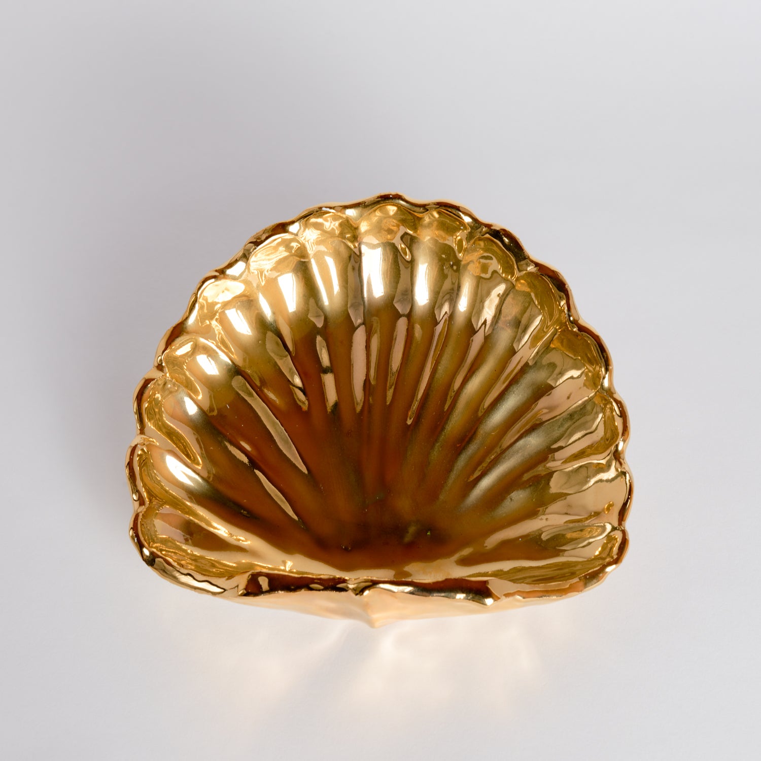 Shell Dish