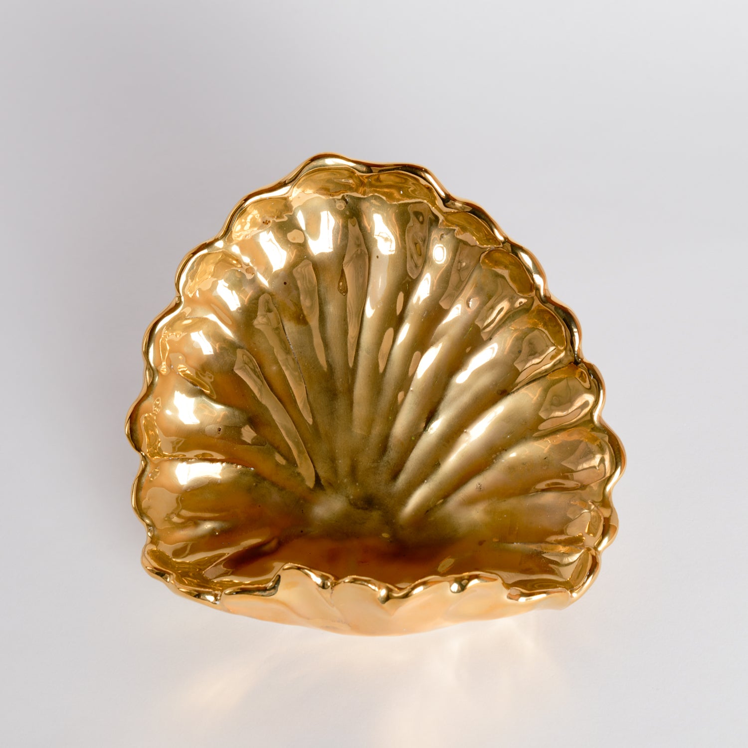 Shell Dish