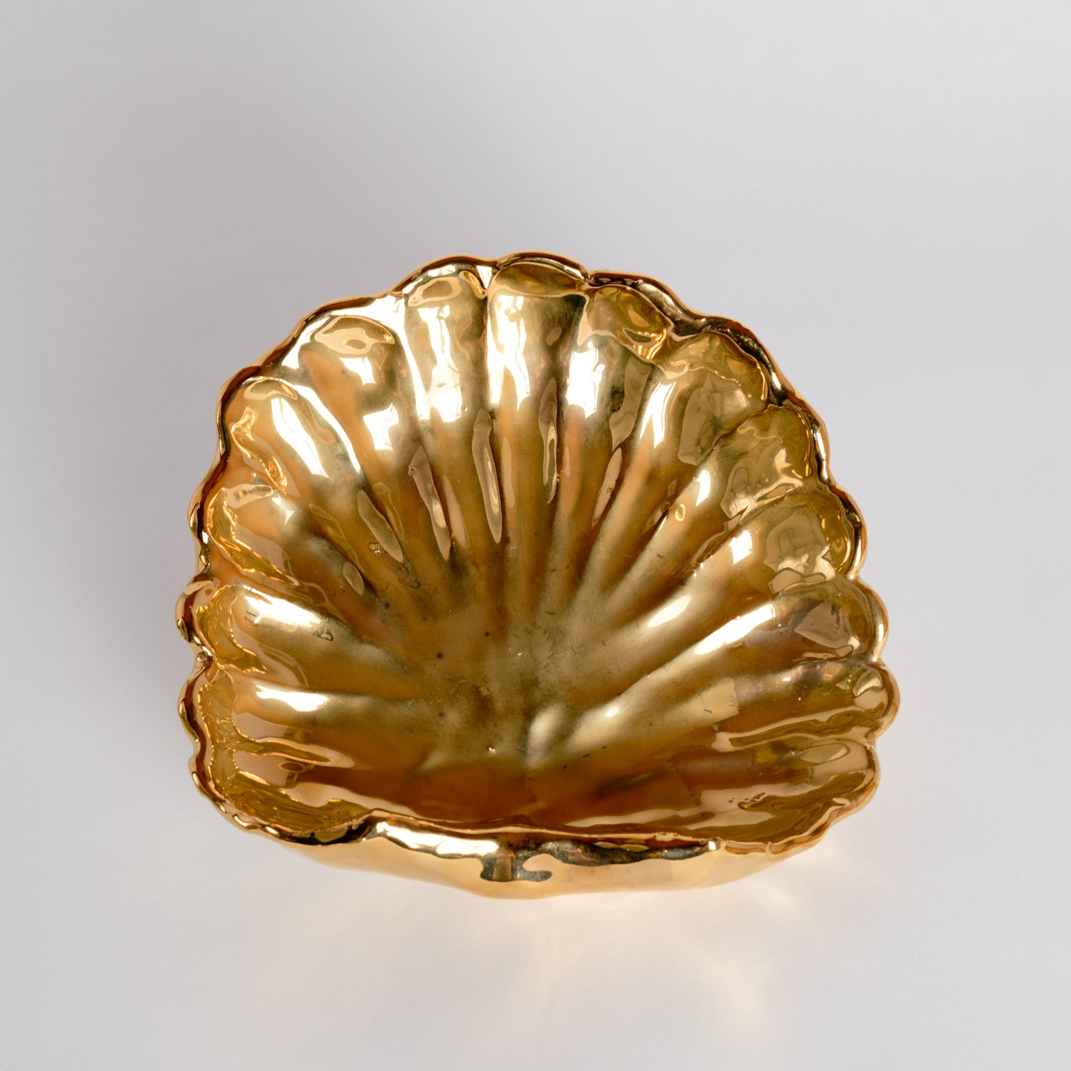 Shell Dish