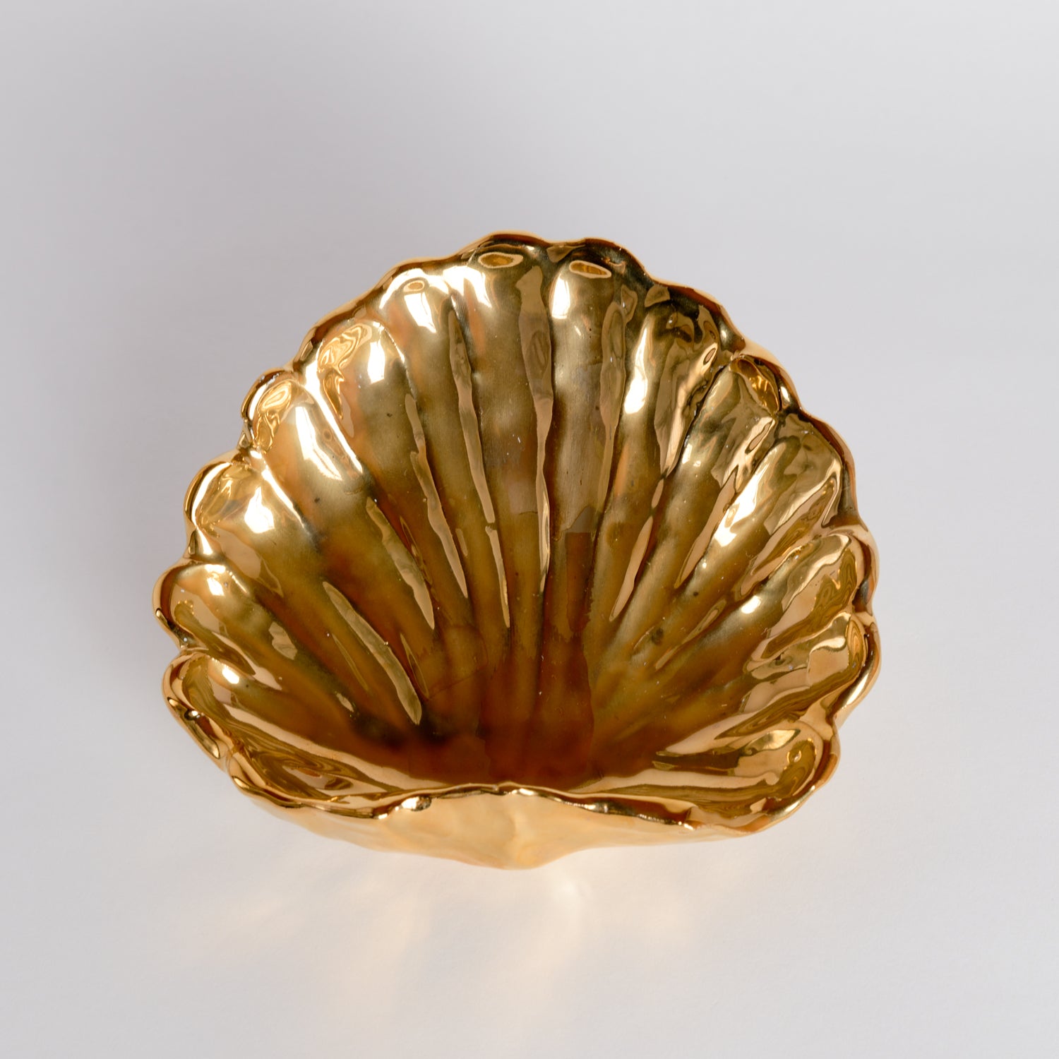 Shell Dish