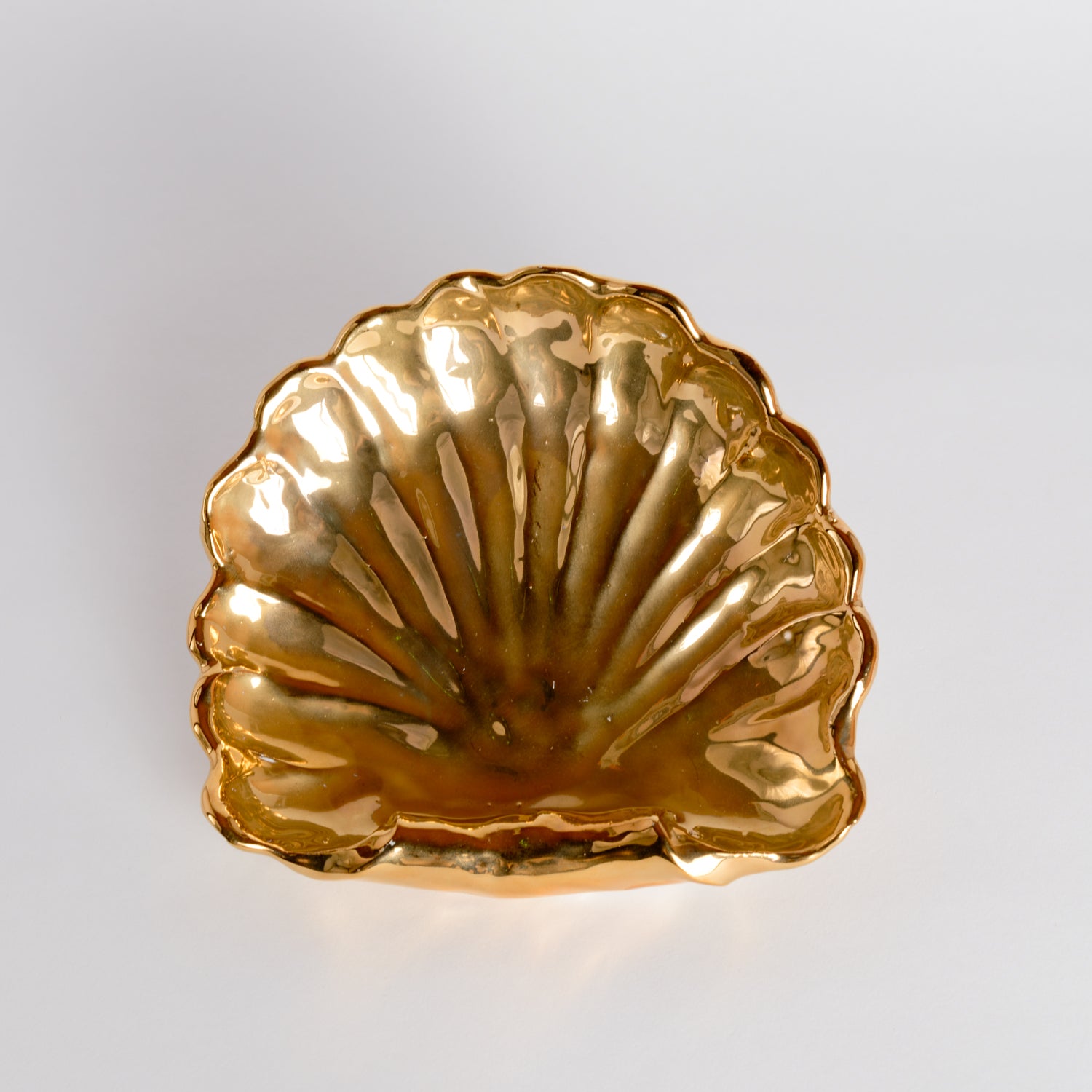 Shell Dish