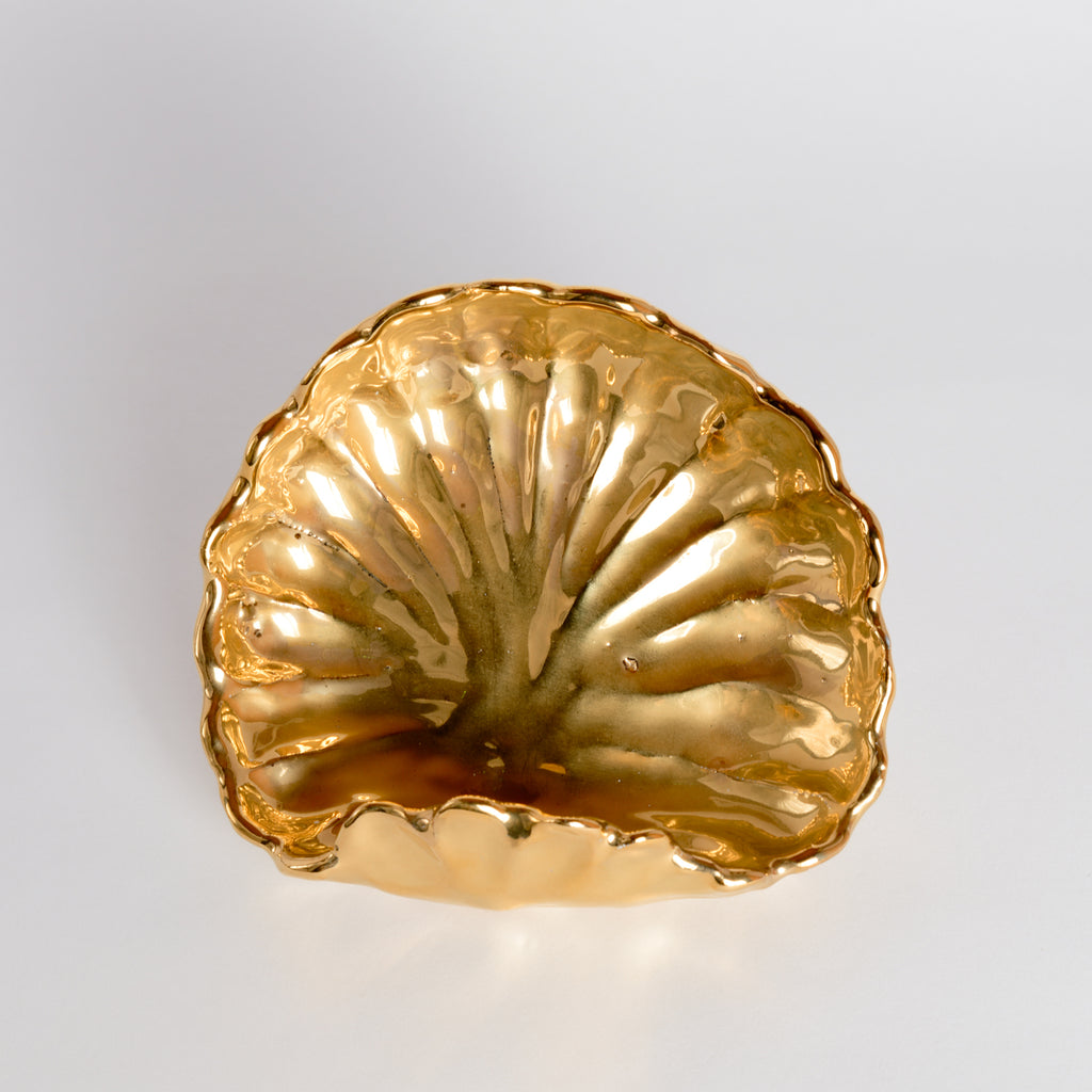Shell Dish