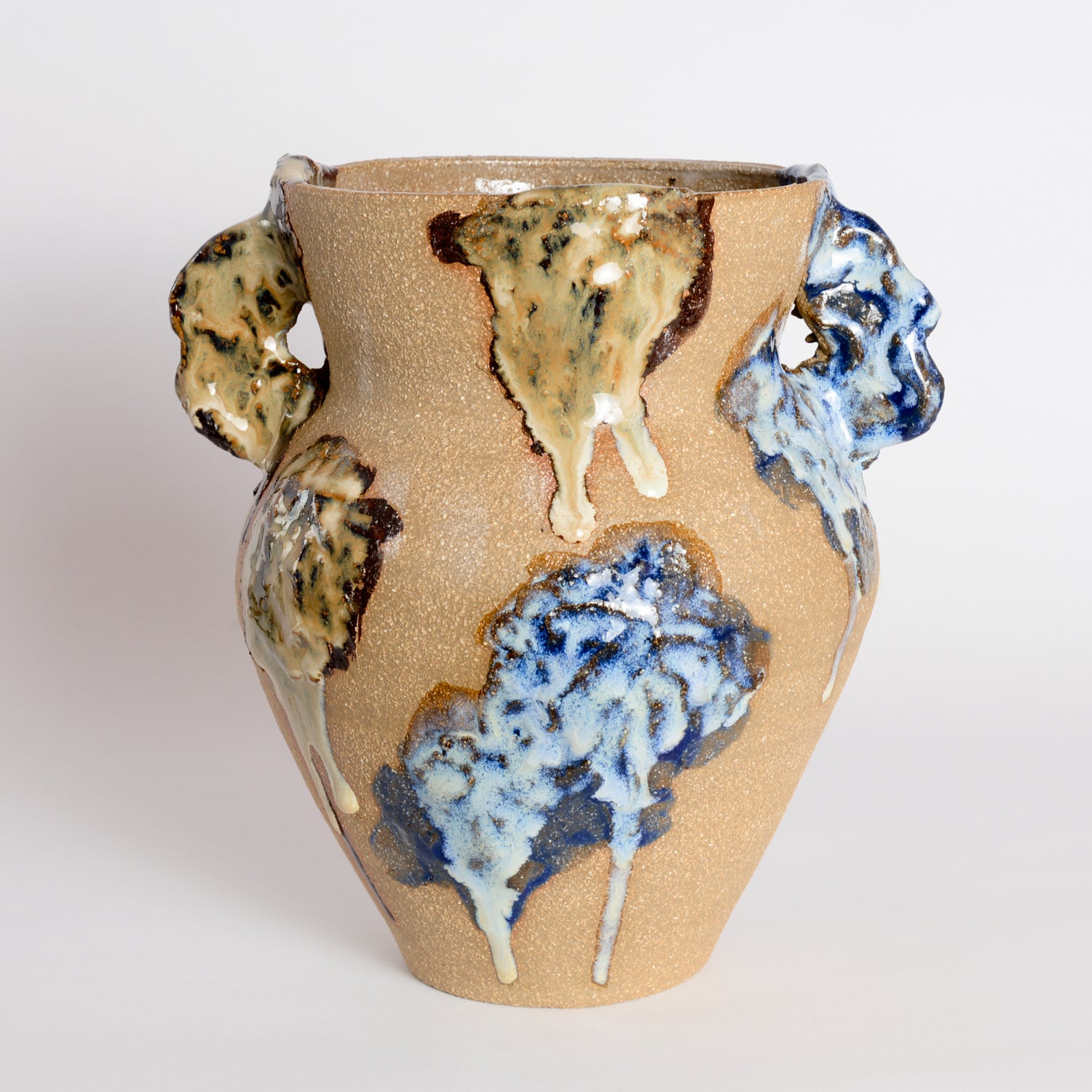 Bloom Vase With Handles