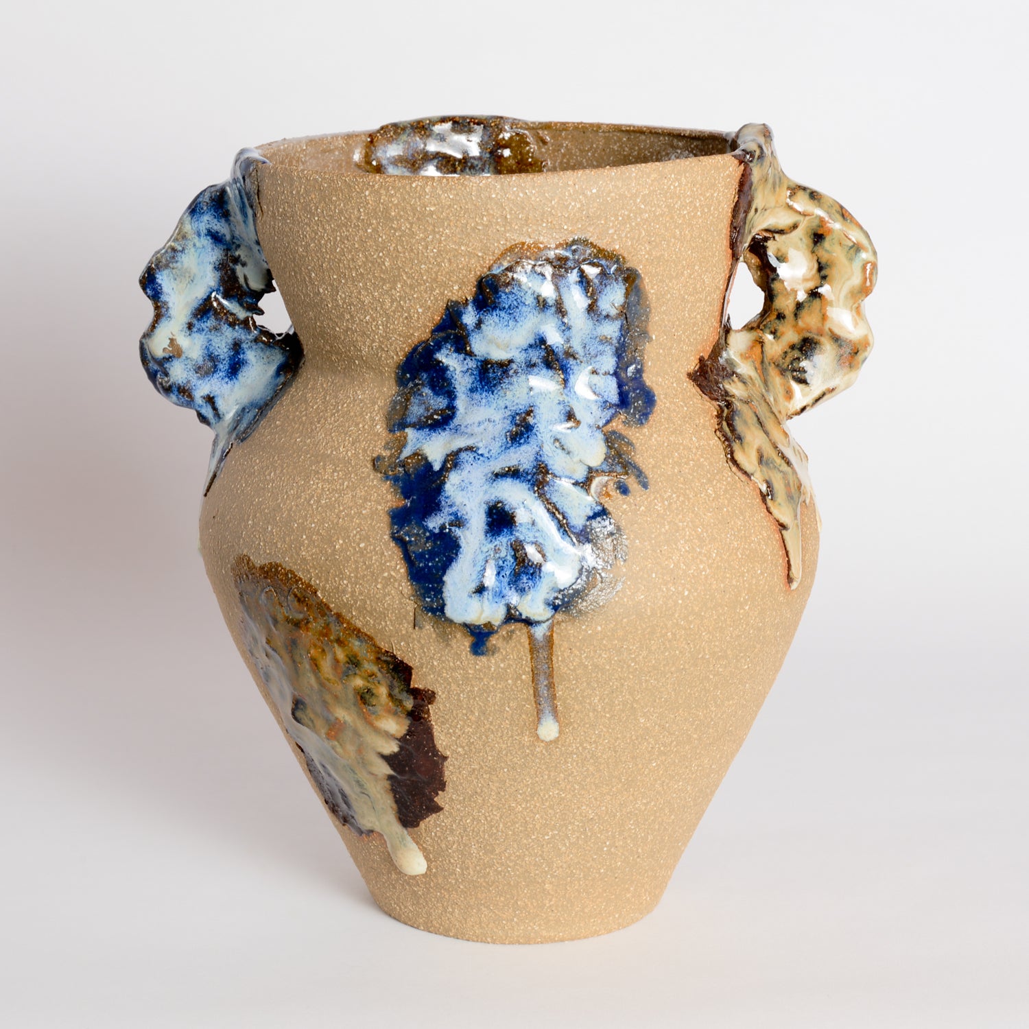 Bloom Vase With Handles