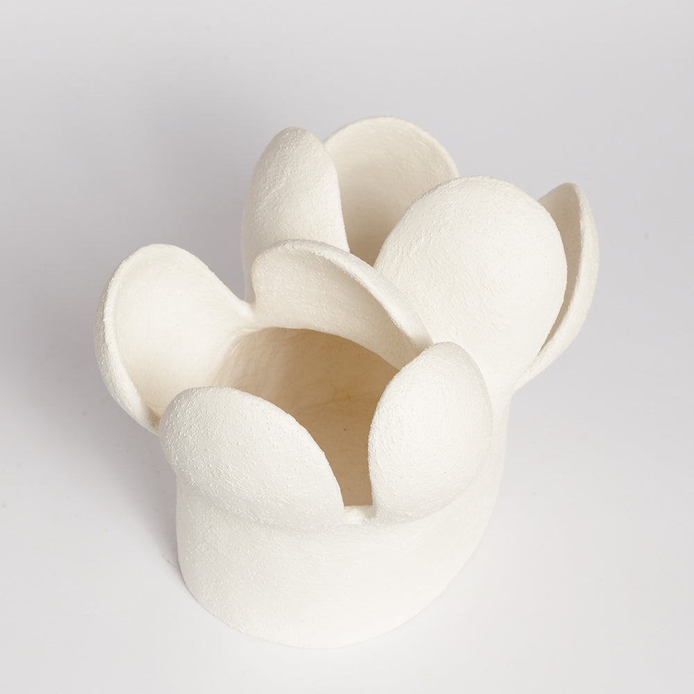 STEPHANIE PHILLIPS is a ceramic artist from Sydney, Australia. Through her background and upbringing, Stephanie has developed an affinity with the Australian bush and the influence of the forms and colours of native flora are evident in her contemporary ceramic sculptures.